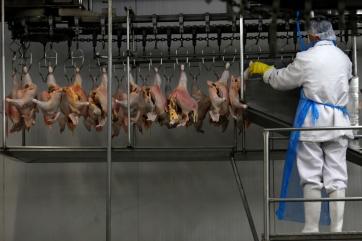Аргентина возобновляет экспорт мяса птицы